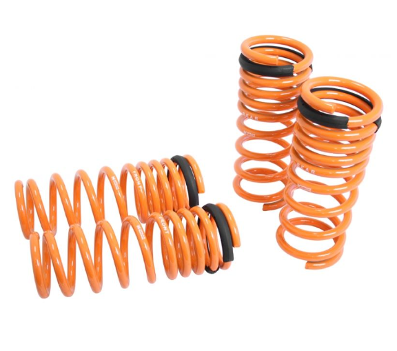 Megan Racing Lowering Springs (09-13 Infiniti G37 4Dr)