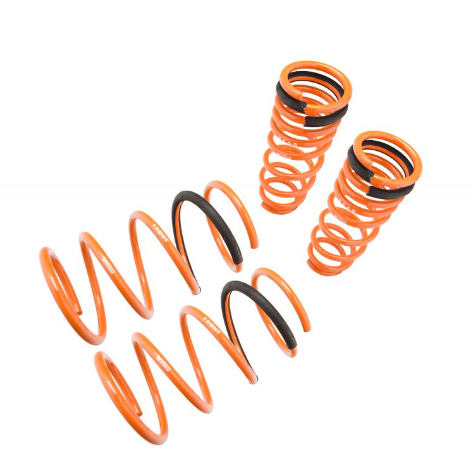 Megan Racing Lowering Springs (00-03 Nissan Maxima)