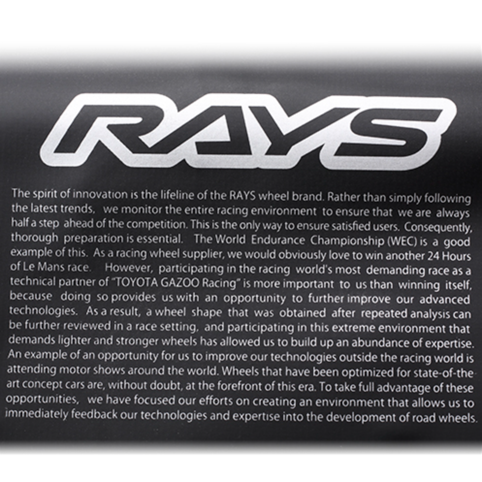 Rays Waterproof Sports Bag